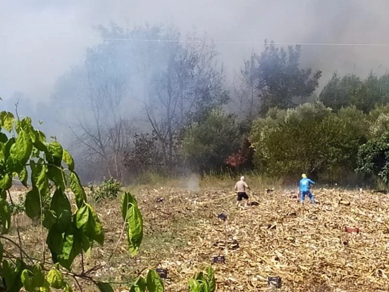 Πυρκαγιά στην Κέρκυρα: Εκκενώνονται τα χωριά Νεοχώρι και Παλαιοχώρι-Εικόνες, Βίντεο